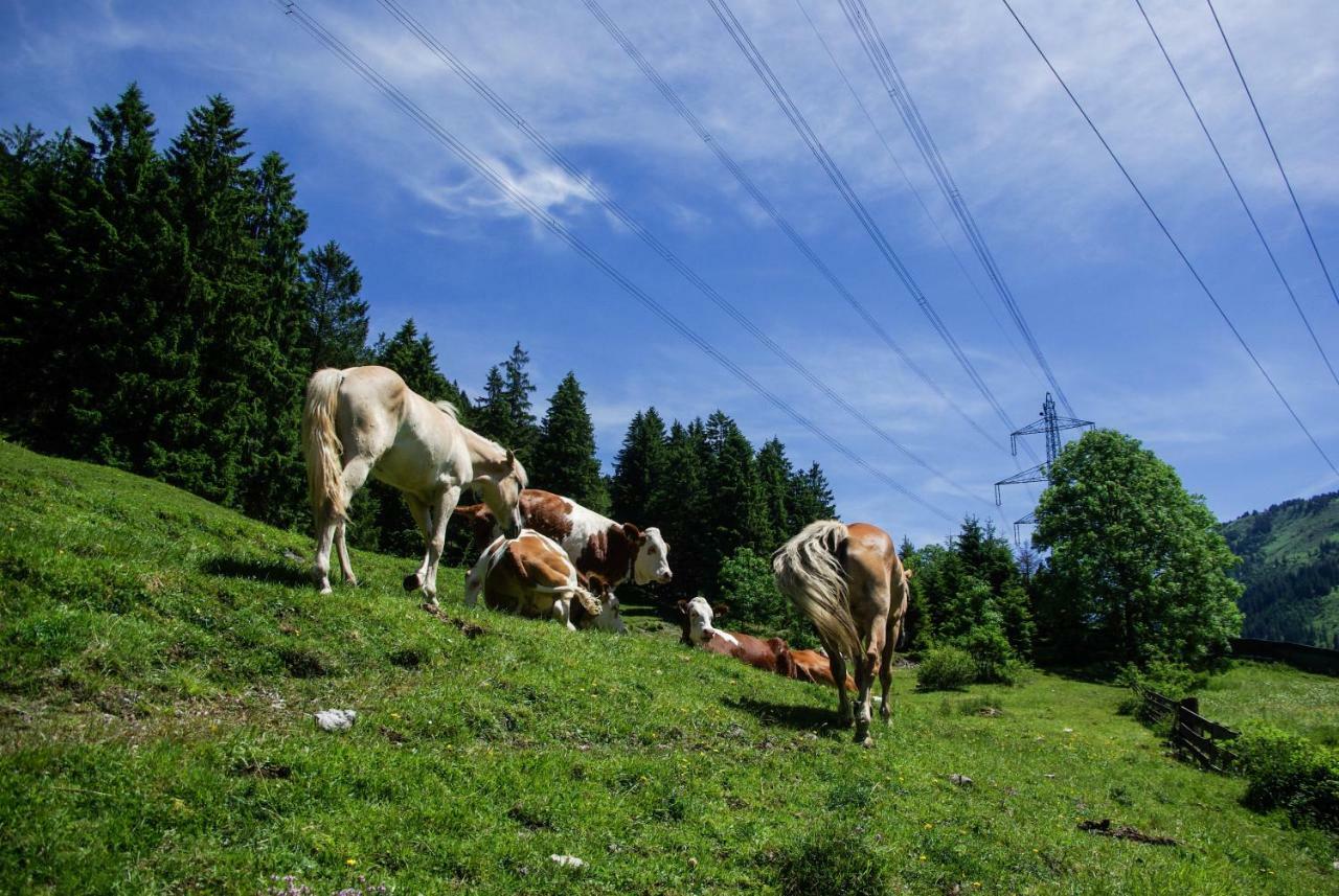 Haus Kohlberghof Ξενοδοχείο Bichlbach Εξωτερικό φωτογραφία