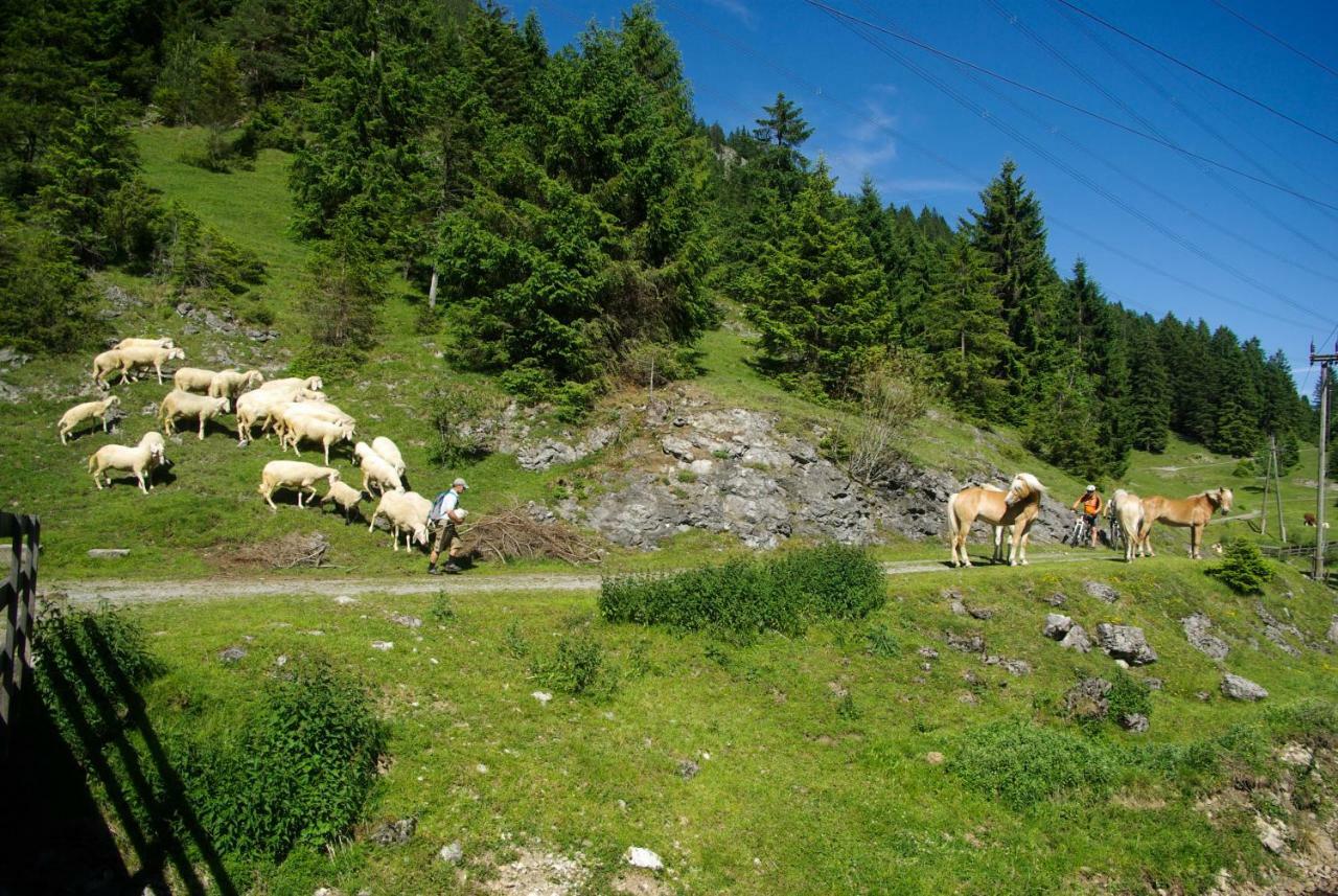 Haus Kohlberghof Ξενοδοχείο Bichlbach Εξωτερικό φωτογραφία